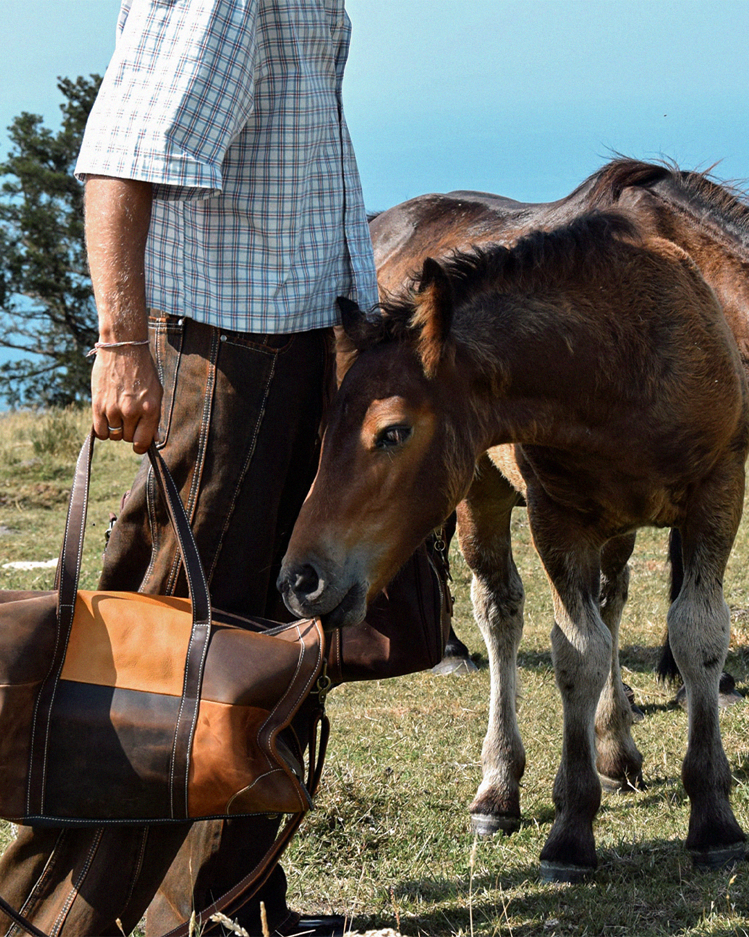 A foal nuzzling the COFFT Signature Duffle in Espresso, genuine Crazy Horse leather