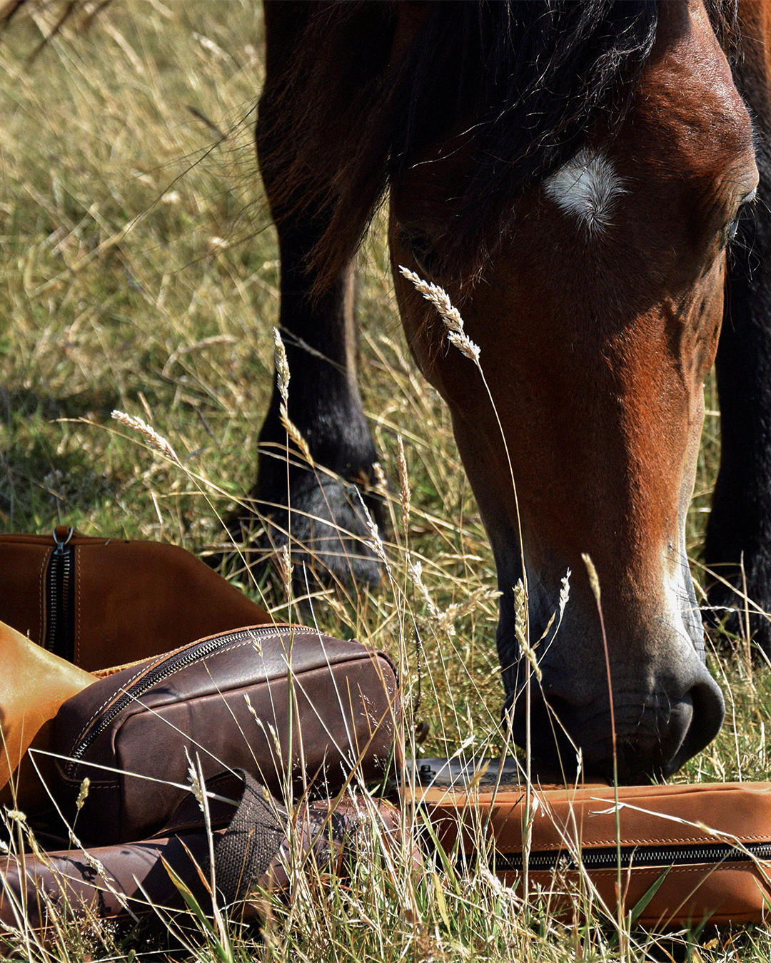 A brown leather pouch and duffle bag lying in tall grass, with a horse's head and legs visible in the scene.